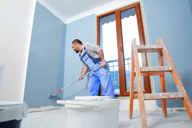 Trusted Thunderbolt, GA Mold Removal Experts