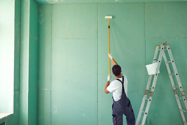 Best Basement Mold Removal  in Thunderbolt, GA