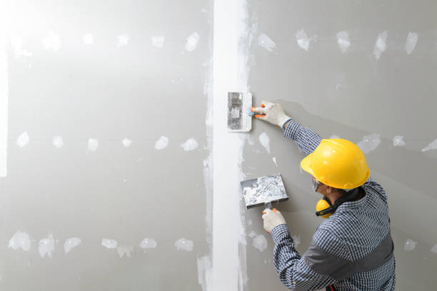 Mold Documentation for Insurance Claims in Thunderbolt, GA