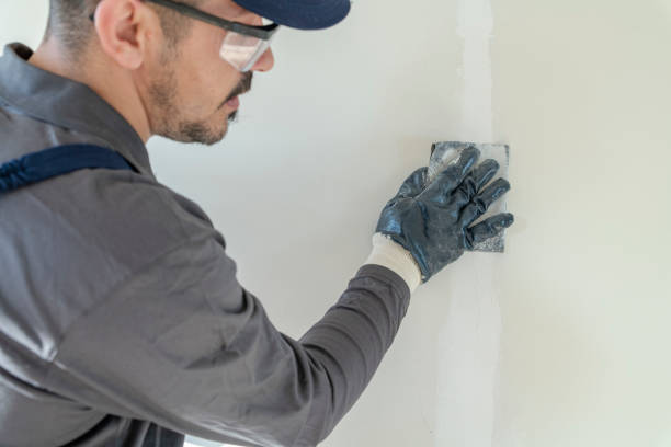 Best Emergency Mold Remediation  in Thunderbolt, GA