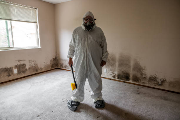 Best Mold Damage Restoration  in Thunderbolt, GA